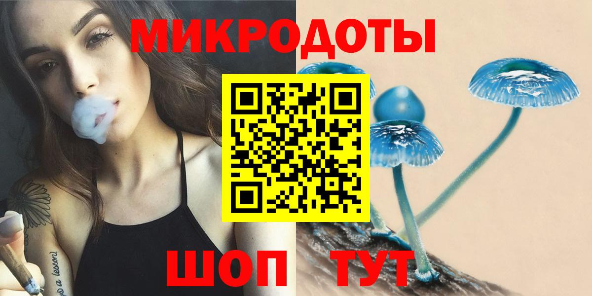 Знаменск  наркота  Псилоцибиновые грибы GOLDEN TEACHER  Вход с VPN  Псилоцибиновые грибы мухоморы 
